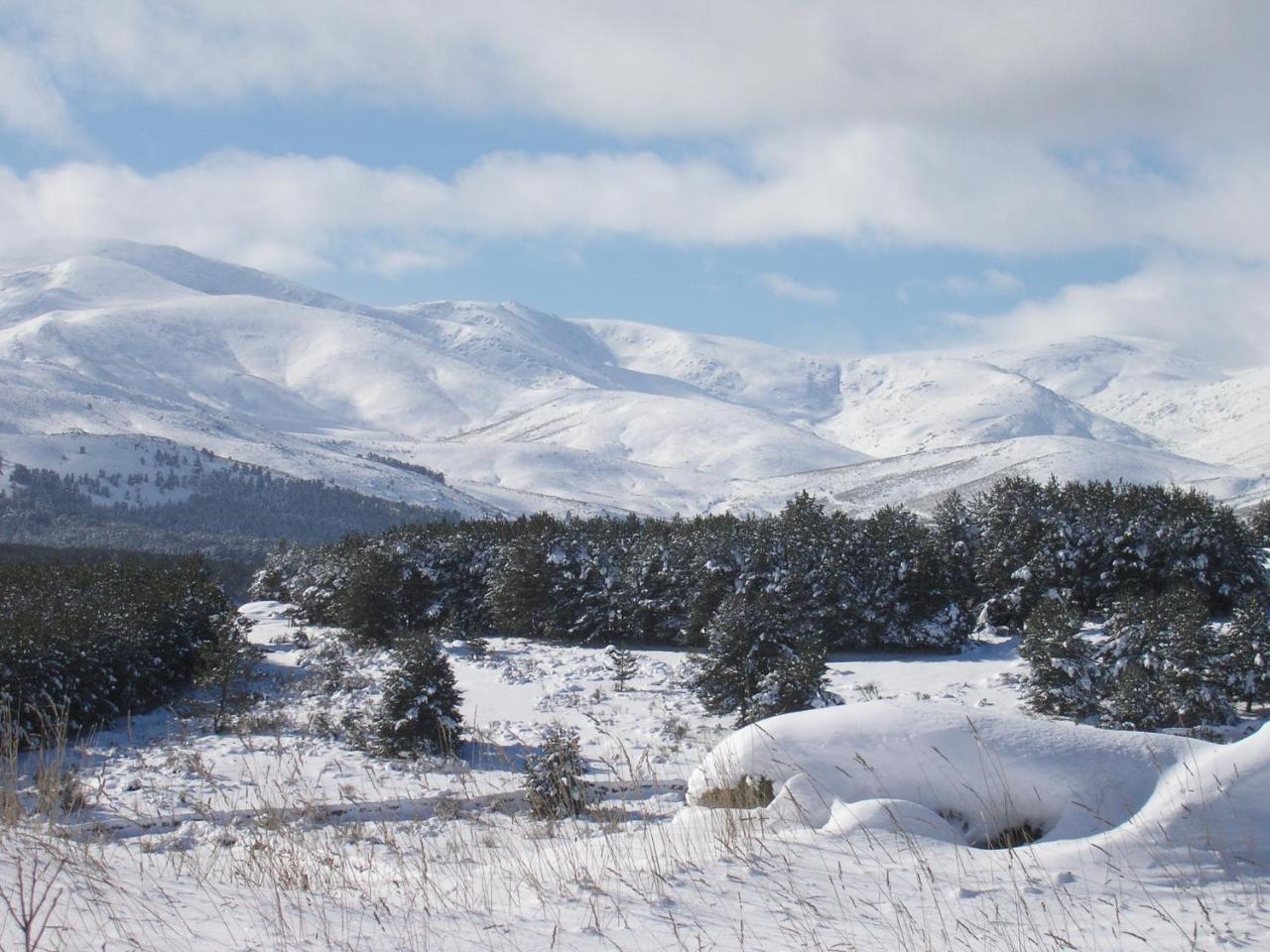 Tinao De Gredos Vila Barajas de Gredos Exterior foto