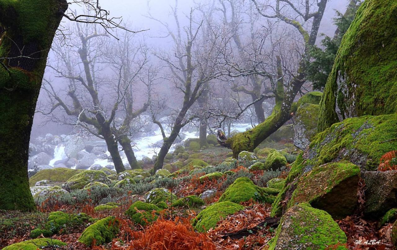 Tinao De Gredos Vila Barajas de Gredos Exterior foto